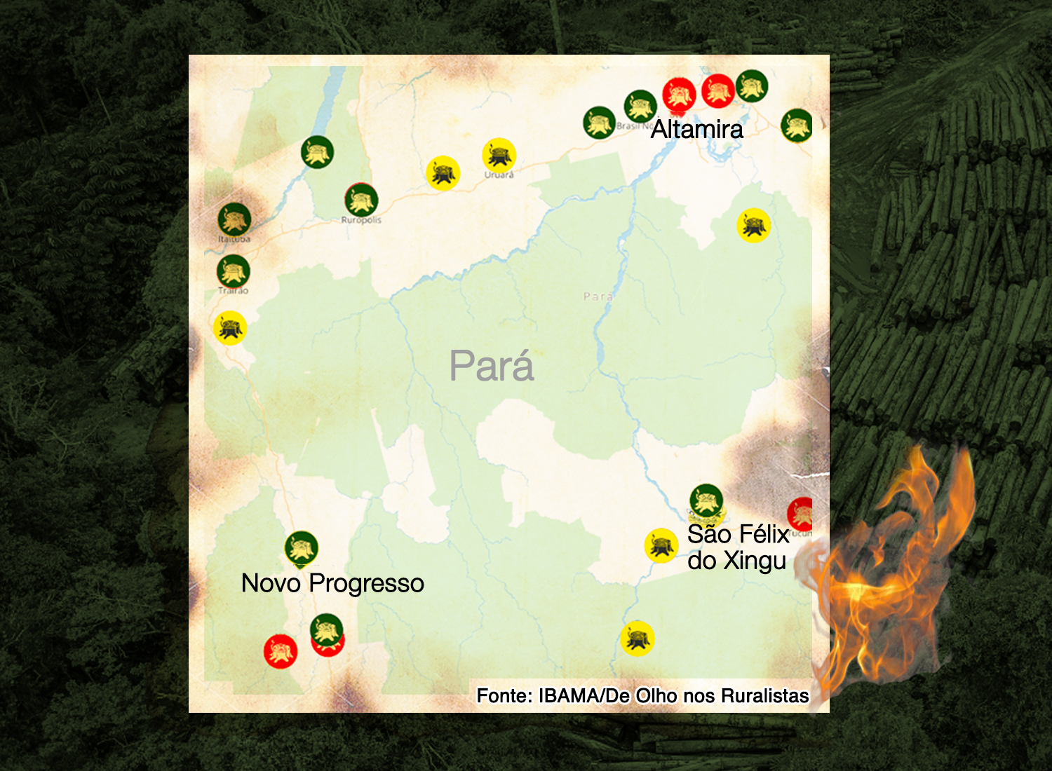 Mapa mostra os maiores multados por desmatamento nos últimos 25 anos