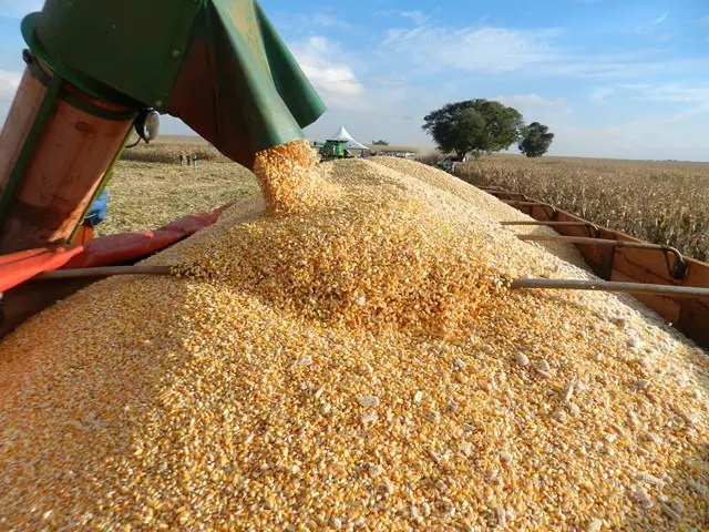 Estruturação urbana e questão da moradia nas cidades do agronegócio
